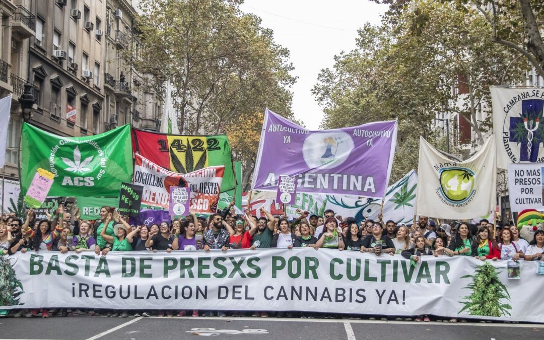 ¿De qué se trata el debate sobre la legalización de la marihuana?